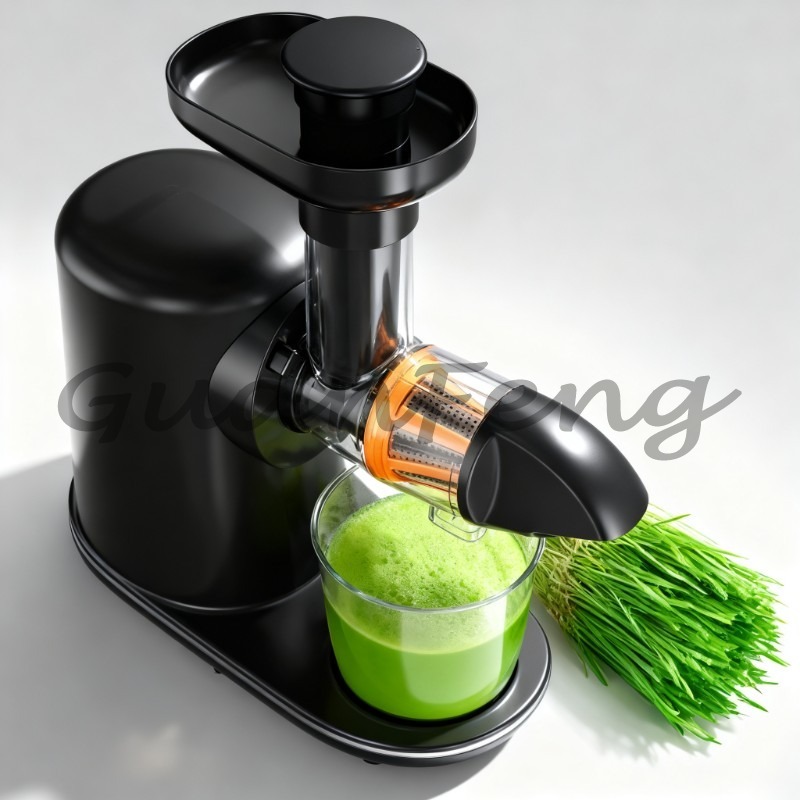 Koudpers slowjuicer, elektrisc - Electric Slow Juicer Cold Press recensie en prijs