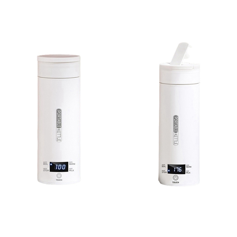 DT39 Draagbare Reisketel met 4 - Electric Kettle Temperature Control recensie en prijs